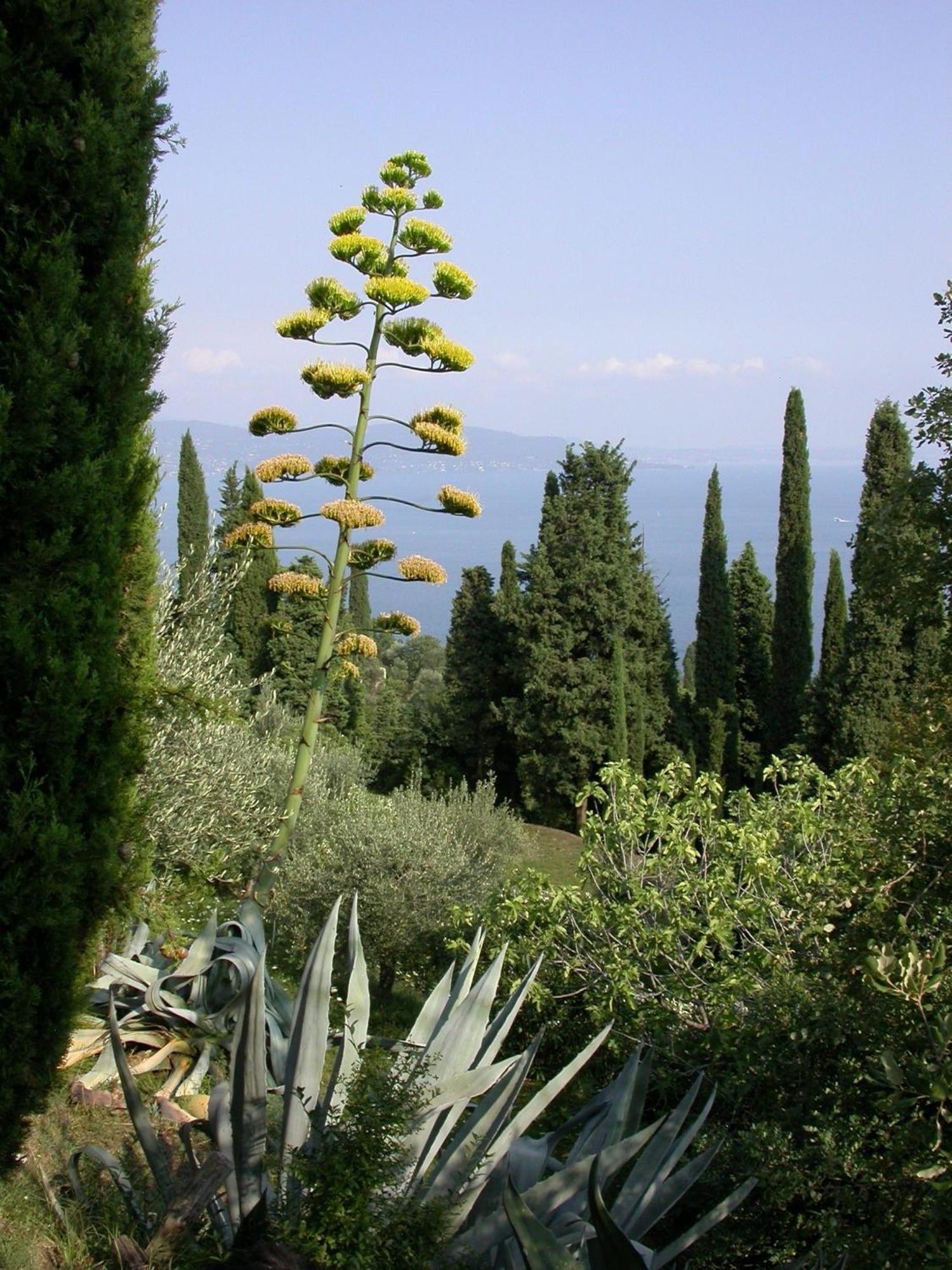 Villa Dimora Bolsone Gardone Riviera Exterior foto