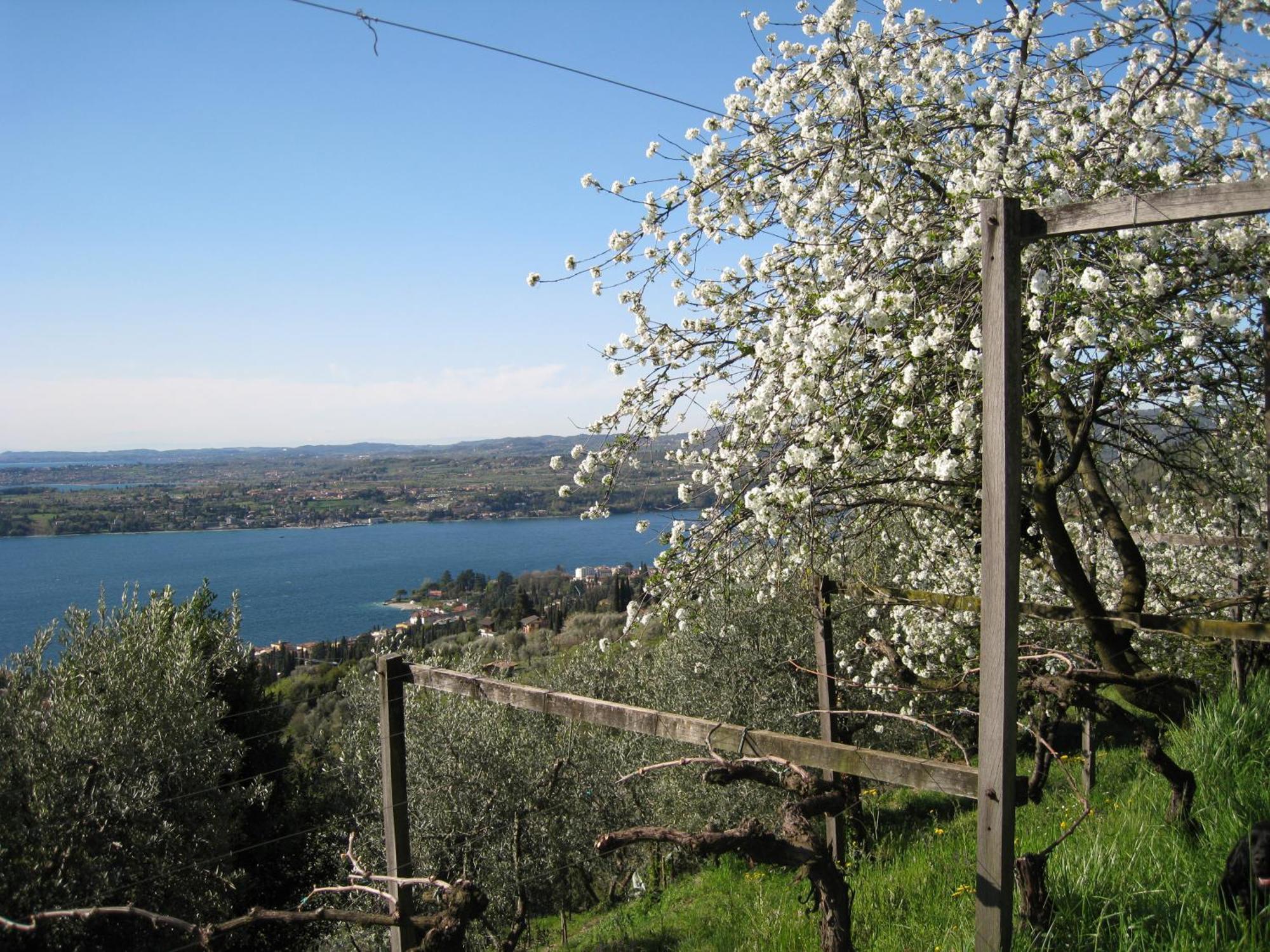 Villa Dimora Bolsone Gardone Riviera Exterior foto